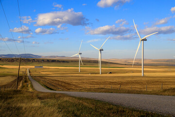 Wall Mural - Wind Turbine Windmill Renewable Energy Alberta Canada