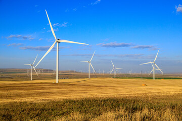 Wall Mural - Wind Turbine Windmill Renewable Energy Alberta Canada