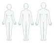 © sudowoodo - Male, female and unisex body diagram