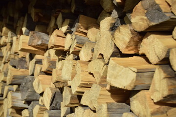 Wall Mural - firewood stacked near the wall close-up