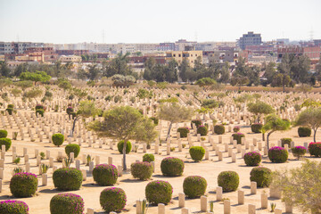 Beautiful view of El Alamein British War Cemetery in El Alamein, Egypt