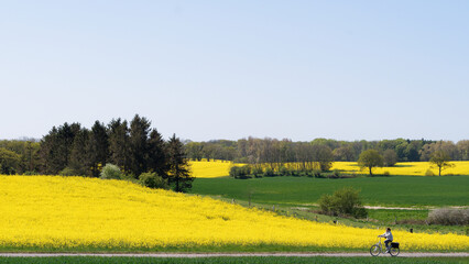 Wall Mural - Schleswig-Holstein