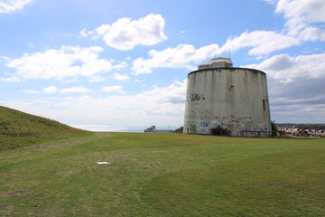 Wall Mural - windmill in the field