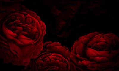 Wall Mural - Beautiful abstract color black and red flowers on black background, light pink flower frame, pink leaves texture, dark background, valentines day, love theme, red texture 