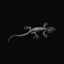 Gecko Hand Drawing Vector Illustration Isolated On Black Background