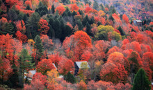 Scenic Landscape Of Vermont Barn Surrounded With Colorful Fall Foliage.