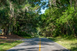 Live Oak Canopied Road, Ashville Highway, County Road 146, Jefferson County, Florida