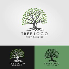 abstract living tree logo design, roots vector - tree of life logo design inspiration isolated on wh