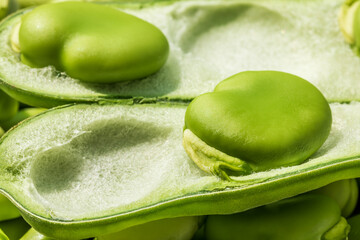 Both broad bean pods and shelled seeds. Healthy organic green raw broad beans.