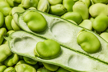 Both broad bean pods and shelled seeds. Healthy organic green raw broad beans.