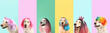 Collage with funny Labrador dog in different wigs on colorful background