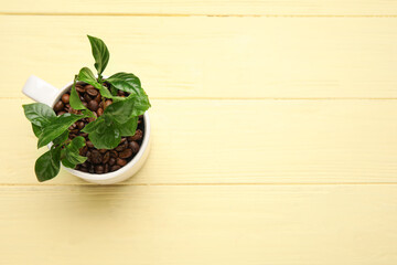 Wall Mural - Cup with coffee tree and beans on color wooden background