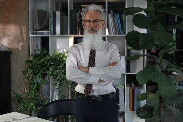 Sticker - Confident pensive mature business man in modern office.