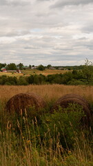 Wall Mural - Beautiful rustic summer landscape with old wooden houses and hay in the field