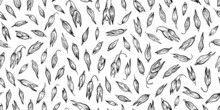 Oat Sketch Pattern. Oatmeal Illustration. Vector Muesli Flakes. Grain Seamless Background. Drawing Of Granola. Cereal Isolated. Wheat Spelt Plant. Oat Porridge Abstract Design. Natural Oatmeal Pattern
