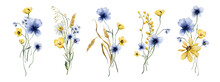 Collection Of Five Bouquets With Summer Wildflowers And Spikelets. Festive Illustration With Wild Flowers For Printing Or Your Design. Support And Peace For Ukraine.
