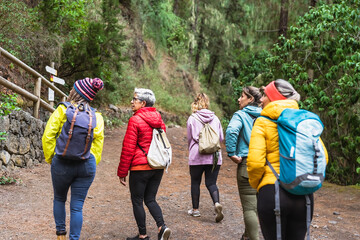 Wall Mural - Group of women with different ages and ethnicities having fun walking in the woods - Adventure and travel people concept