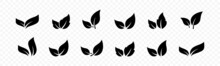 Leaf Icons. Leave Icon Set. Foliage Collection. Black Floral Leaves. Flat Isolated Leaf Icons. Vector Graphic EP