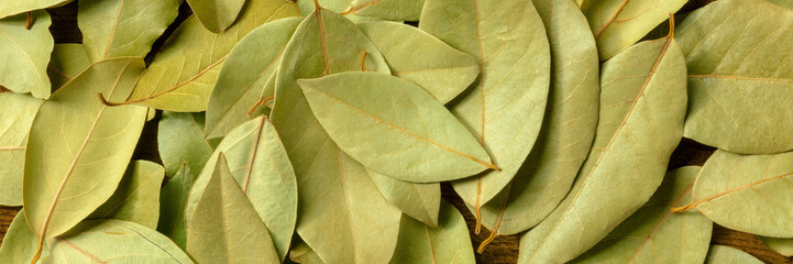 Wall Mural - Dry bay leaves panorama. Laurel leaf panoramic banner. Culinary herb