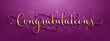 © treenabeena - CONGRATULATIONS metallic gold vector brush calligraphy greeting card with bokehs and stars on pink background