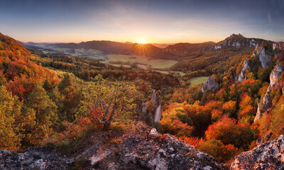 Canvas Print - majestic particolored forest with sunny beams. natural park. dramatic unusual scene. red and yellow 