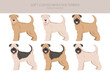Soft coated Wheaten Terrier clipart. Different poses, coat colors set