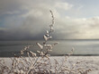 Zima nad morzem Bałtyckim