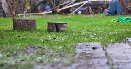 Wall Mural - Bad Weather on backyard. Climate Change. Changing Ecology. Hail, Rain, Rainfall in Slow motion. Meteorological Phenomena. Seasonal Time of Year. The Vagaries of Nature.