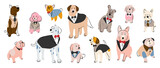 Fototapeta Pokój dzieciecy - Set of cute dogs vector. Lovely dog and puppy doodle pattern in different poses, formal, tuxedo suits and breeds with flat color. Adorable pet characters hand drawn collection on white background.