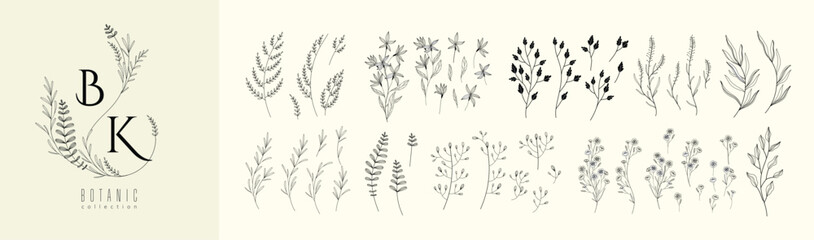 floral branch and minimalist leaves for logo or tattoo. hand drawn line wedding herb, elegant wildfl