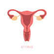 female reproductive system women uterus ovary icon