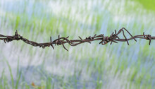 Old Barbed Wire Fence Images