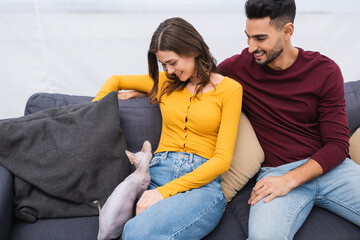 Wall Mural - Happy interracial couple looking at hairless sphynx cat on couch at home.