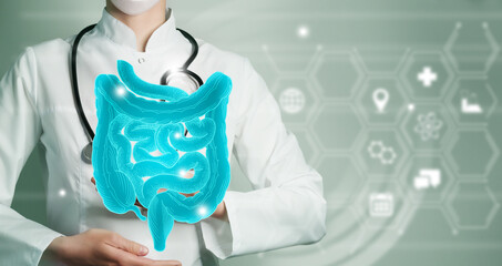 Wall Mural - Unrecognizable female doctor holding graphic virtual visualization model of Intestine organ in hands. Multiple medical icons on the background.