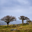 Combestone Tor on Dartmoor