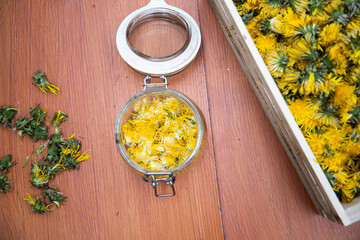 Wall Mural - preparation of dandelion syrup or honey from fresh dandelions