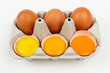 © Viktorua - Yolk different colours of chicken egg, yellow and orange, dark and bright, chicken and hen