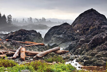 Driftwood Logs On The Pacific Coast, Wild Pacific Trail, Vancouver Island, British Columbia, Canada