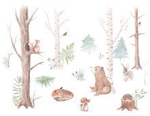 Watercolor Set Forest Animals And Trees, Watercolor Woodland, Bear, Squirrel, Sparrow, Fox, Rabbit, Snail, Hedgehog, Christmas Tree, Stump, For Nursery, Wallpaper, Wall Decor, Stickers