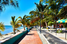 Touristic Pier With Palm Trees And Beautiful Beach, Paradise Place In Aguada Island Campeche 
