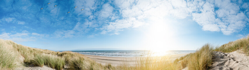 Panoramic landscape background banner panorama of sand dune, beach and ocean North Sea with blue sky, clouds, gulls and sunbeams