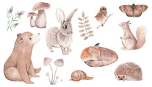 Watercolor Set Of  Forest Animals , Woodland, Fox, Rabbit, Bear, Sparrow, Snail, Squirrel, Sparrow, Natural Animals For Nursey Fall Decor, Stickers, Wallpaper. 
