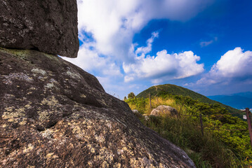 Poster - Rocks in the mountains with plants