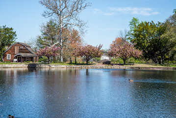 Sticker - Spring in the park 