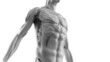 © DRN Studio - 3D illustration of male body musculature on white background.
