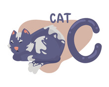 Cat And C Letter