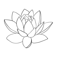 Wall Mural - Lotus line art. Big lotus bud, exotic esoteric plant. For invitations