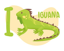 Iguana And I Letter