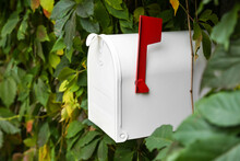 White Vintage Mailbox Among Green Leaves Outdoors