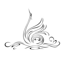 Swan 44. Stylized Graceful Swan Floating On The Water. Graphic Illustration In Black Lines On A White Background